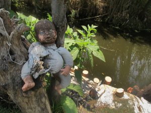 Dolls on some of the "chinampas" (artificial islands) located in Xochimilco. Originally intended to protect from evil spirits, they are now a tourist attraction.