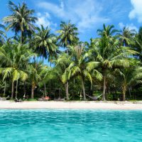 Lovely Beach with Turquoise Water and Green Palm Trees on a Tropical Island