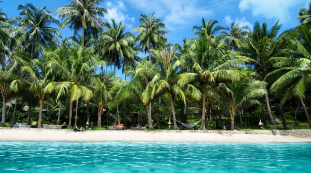 Lovely Beach with Turquoise Water and Green Palm Trees on a Tropical Island